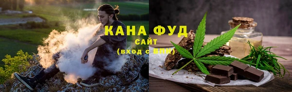 стаф Инсар