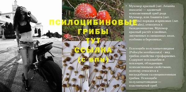 кокс Нязепетровск