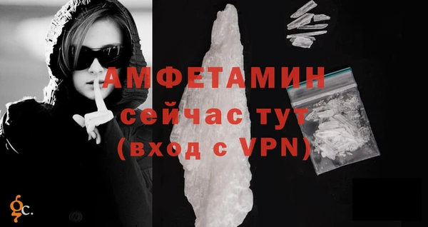 гидра Зеленодольск