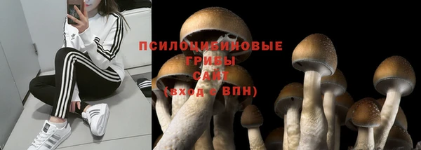 стаф Инсар