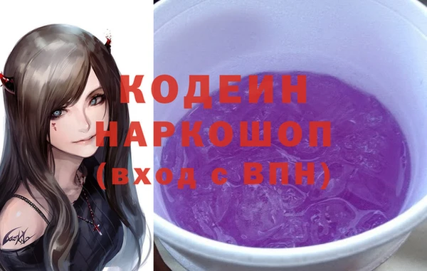 стаф Инсар