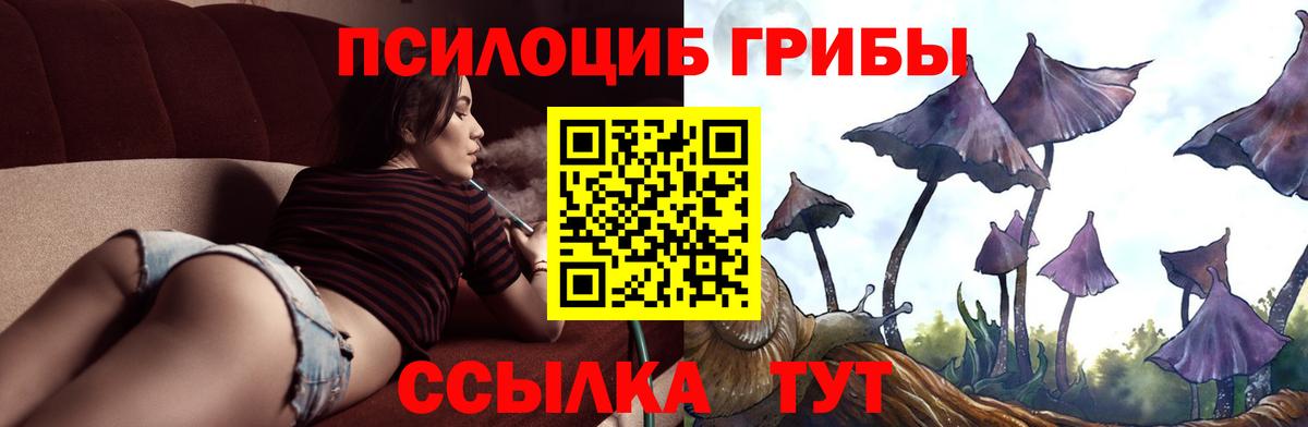 Галлюциногенные грибы Psilocybe Истра