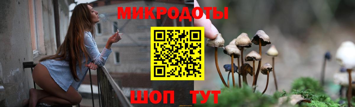 Истра  Галлюциногенные грибы Cubensis  Вход с VPN 
